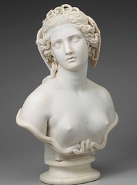 Medusa (ca. 1854) sculpture in high resolution by Harriet Goodhue Hosmer. Original from the Minneapolis Institute of Art. Digitally enhanced by rawpixel.. Original from the Minneapolis Institute of Art.