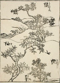 Three Plant Samples for Artists; English: Japan, 19th century Prints; woodcuts Black and white woodblock print. Original from The Los Angeles County Museum of Art.