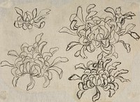 Hokusai's flower sketch. Original from The Los Angeles County Museum of Art.