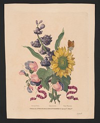Sweet pea, hyacinth, sunflower (1814). Original from the Library of Congress.