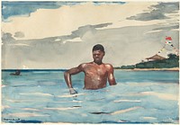 The Bather by Winslow Homer