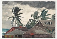 Hurricane, Bahamas by Winslow Homer