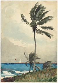 Nassau by Winslow Homer