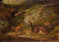 Doe and Two Fawns by Arthur Fitzwilliam Tait