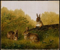 Rabbits on a Log by Arthur Fitzwilliam Tait