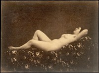 Female Nude, Reclining, in Profile