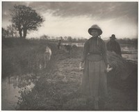 Poling the Marsh Hay