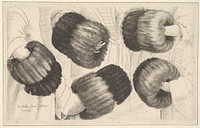 A Muff in Five Views by Wenceslaus Hollar