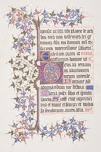 Illuminated Leaf with Initial "E" (recto); Vine Border (verso) by Freeman Gage Delamotte