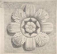 Study of a Classical Rosette