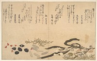 Shells under Water by Utamaro Kitagawa (1754–1806)