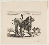 Plate 6: lion, from 'Various animals' (Diversi animali)