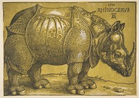 The Rhinoceros