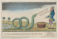 The American Rattlesnake Presenting Monsieur his Ally sic a Dish of Frogs