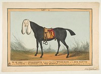 To Be Sold With All His Engagements–The Famous Race Horse Woolsack