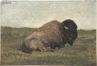 Bison Lying Down by Antoine-Louis Barye