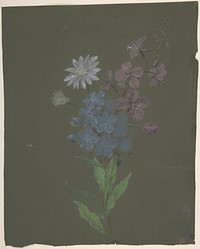 Floral Design by Antoine Berjon