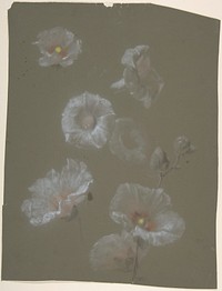 White Hollyhocks by Antoine Berjon