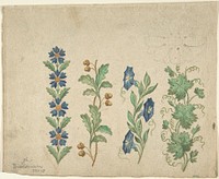 Designs for Embroidery