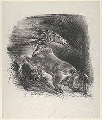 Wild Horse by Eugène Delacroix