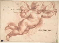 Flying Putto by Ciro Ferri