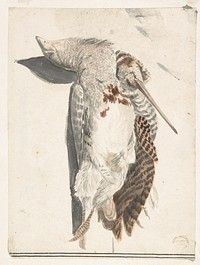 Two Dead Birds (A Quail and a Long-Beaked Bird)