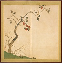 Persimmon Tree by Sakai Hōitsu