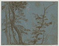 Trees by French artist in the circle of Giovanni Francesco Grimaldi