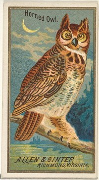 Horned Owl, from the Birds of America series (N4) for Allen & Ginter Cigarettes Brands