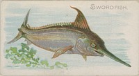 Swordfish, from the Fish from American Waters series (N8) for Allen & Ginter Cigarettes Brands issued by Allen & Ginter 