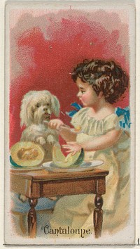 Cantaloupe, from the Fruits series (N12) for Allen & Ginter Cigarettes Brands issued by Allen & Ginter, George S. Harris & Sons (lithographer)