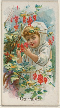 Currants, from the Fruits series (N12) for Allen & Ginter Cigarettes Brands, issued by Allen & Ginter