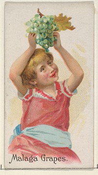 Malaga Grapes, from the Fruits series (N12) for Allen & Ginter Cigarettes Brands issued by Allen & Ginter, George S. Harris & Sons (lithographer)