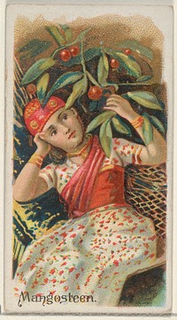 Mangosteen, from the Fruits series (N12) for Allen & Ginter Cigarettes Brands issued by Allen & Ginter, George S. Harris & Sons (lithographer)