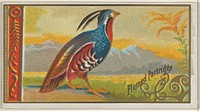 Plumed Partridge, from the Game Birds series (N13) for Allen & Ginter Cigarettes Brands