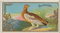 Rock Ptarmigan, from the Game Birds series (N13) for Allen & Ginter Cigarettes Brands issued by Allen & Ginter, George S. Harris & Sons (lithographer)