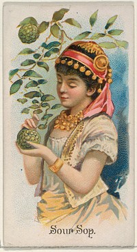 Sour Sop, from the Fruits series (N12) for Allen & Ginter Cigarettes Brands issued by Allen & Ginter, George S. Harris & Sons (lithographer)