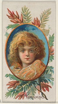 Tamarind, from the Fruits series (N12) for Allen & Ginter Cigarettes Brands issued by Allen & Ginter, George S. Harris & Sons (lithographer)