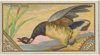 Brent Goose, from the Game Birds series (N13) for Allen & Ginter Cigarettes Brands issued by Allen & Ginter, George S. Harris & Sons (lithographer)