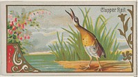 Clapper Rail, from the Game Birds series (N13) for Allen & Ginter Cigarettes Brands issued by Allen & Ginter, George S. Harris & Sons (lithographer)