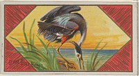 Great Blue Heron, from the Game Birds series (N13) for Allen & Ginter Cigarettes Brands issued by Allen & Ginter, George S. Harris & Sons (lithographer)