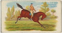 Stuyvesant, from The World's Racers series (N32) for Allen & Ginter Cigarettes