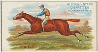 C.H. Todd, from The World's Racers series (N32) for Allen & Ginter Cigarettes