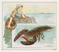 Lobster, from Fish from American Waters series (N39) for Allen & Ginter Cigarettes issued by Allen & Ginter
