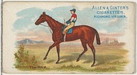 The Bard, from The World's Racers series (N32) for Allen & Ginter Cigarettes issued by Allen & Ginter 