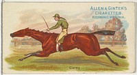 Carey, from The World's Racers series (N32) for Allen & Ginter Cigarettes