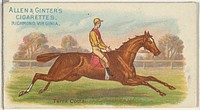 Terra Cotta, from The World's Racers series (N32) for Allen & Ginter Cigarettes issued by Allen & Ginter 