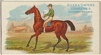 Banburg, from The World's Racers series (N32) for Allen & Ginter Cigarettes issued by Allen & Ginter 