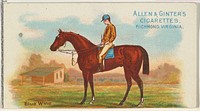 Blue Wing, from The World's Racers series (N32) for Allen & Ginter Cigarettes issued by Allen & Ginter 