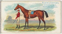 Raceland, from The World's Racers series (N32) for Allen & Ginter Cigarettes